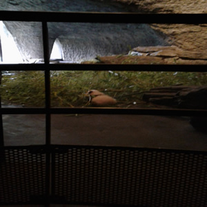 20160905_162838